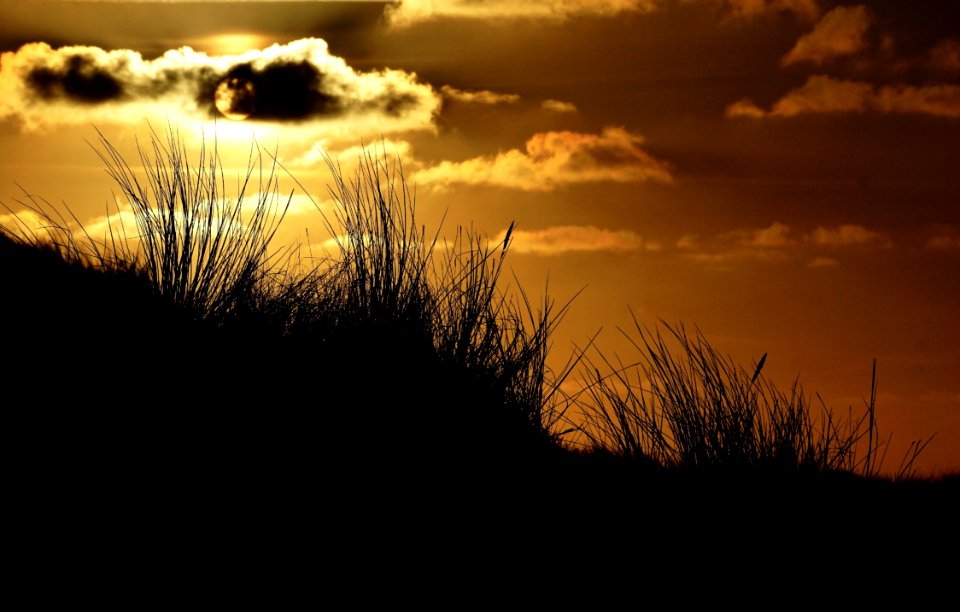 Abendstimmung Afterglow Backlit