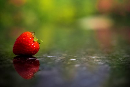 Berry Blur Close-up photo