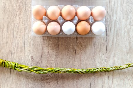 Board Branches Eggs