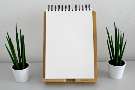 Blank Book Pages photo
