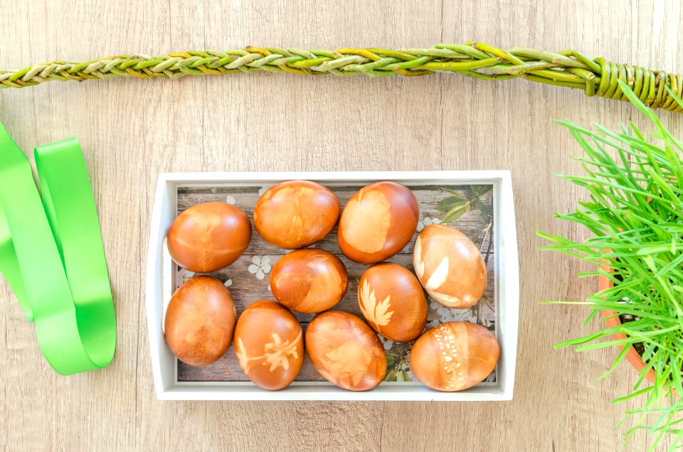 Background Board Branches