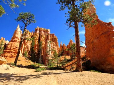 Bryce Canyon Cliff photo