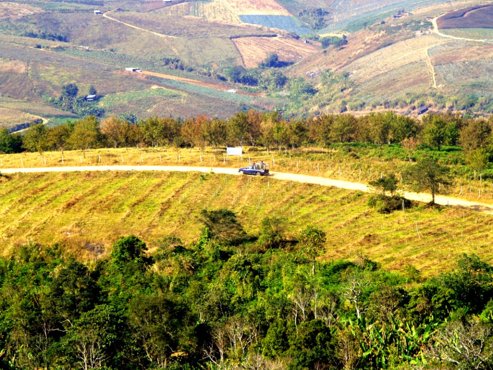 Car Countryside Cropland