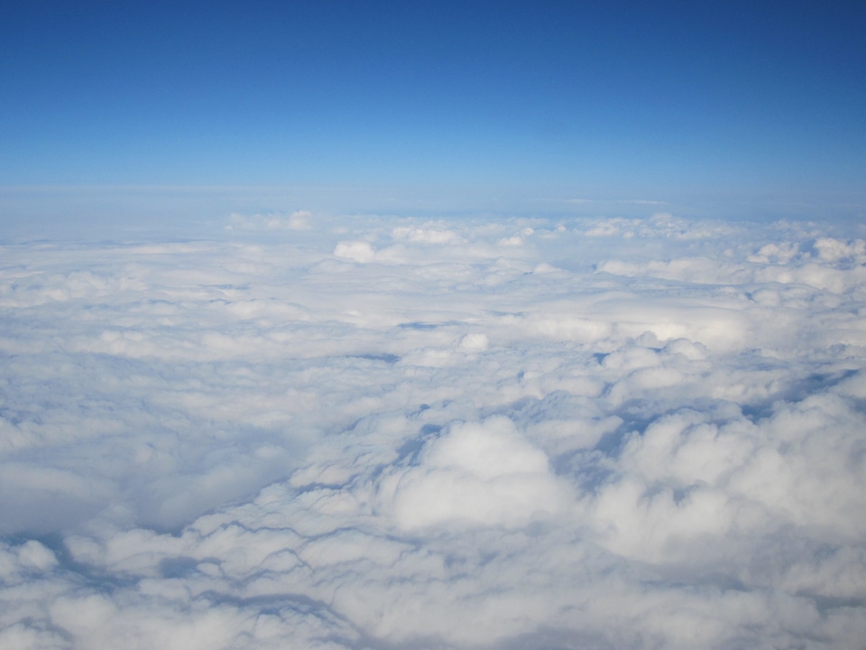 Selva marine clouds animals flight photo