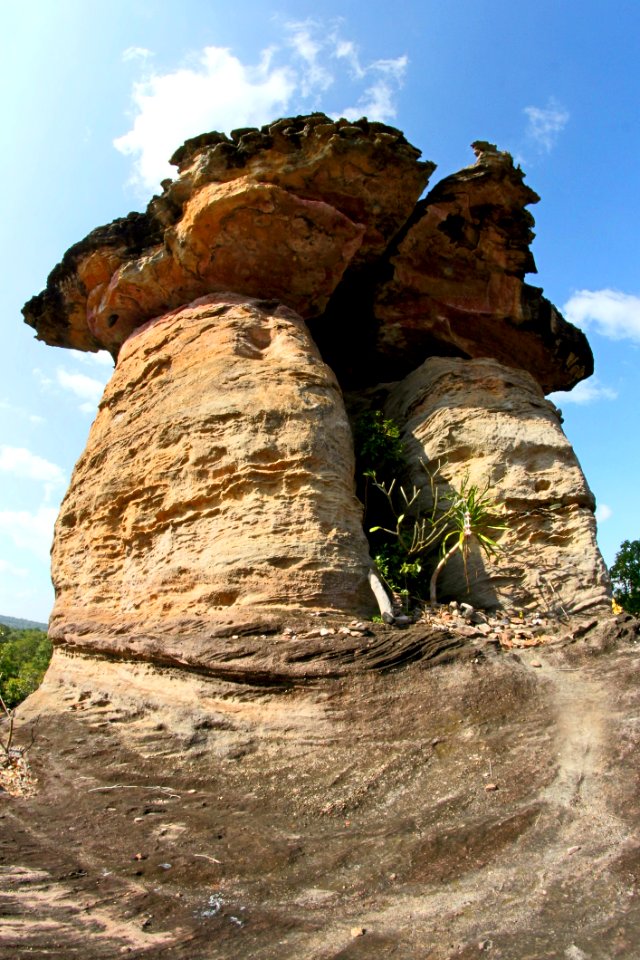 Ancient Attraction Cliff