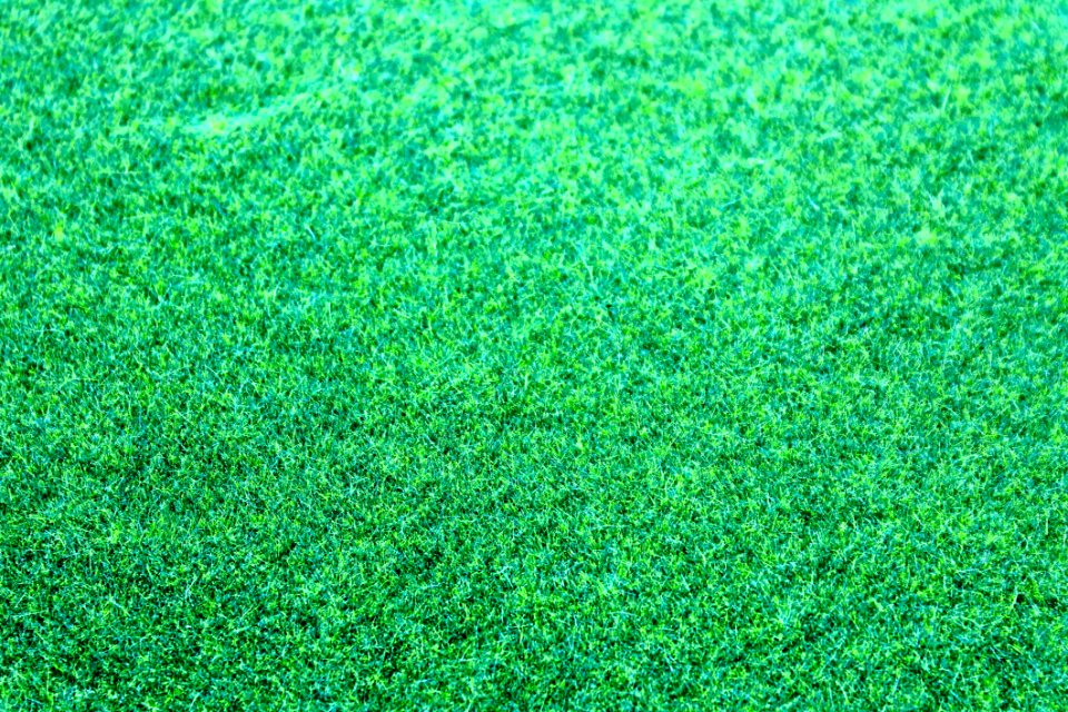 Bright Clean Close-up