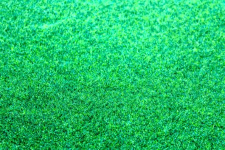 Bright Clean Close-up