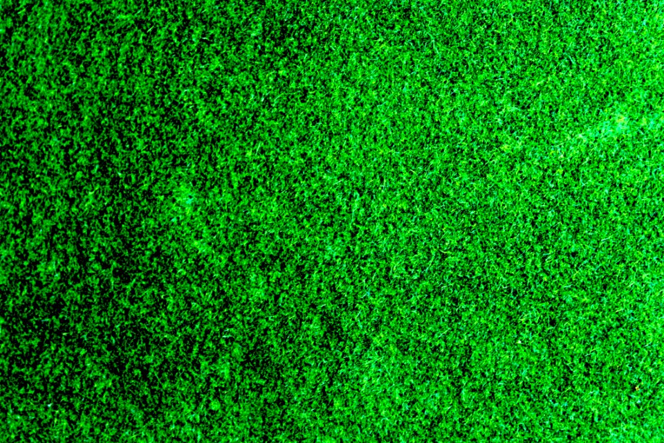 Background Bright Clean