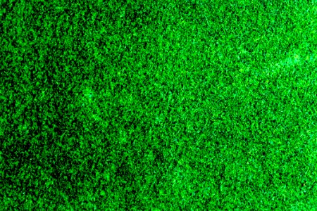 Background Bright Clean