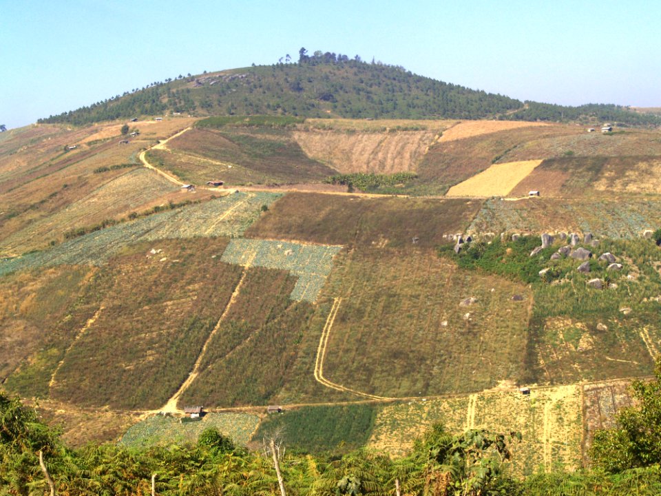 Countryside Environment Field
