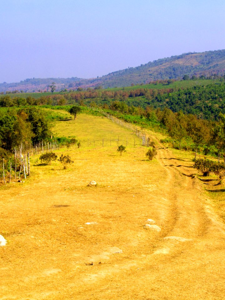 Agriculture Environment Farm