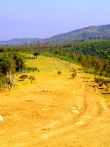 Agriculture Environment Farm