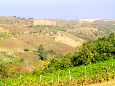 Countryside Cropland Environment