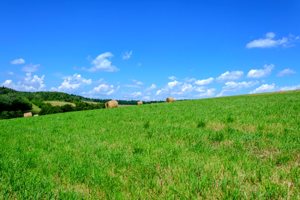 Agriculture Animals Clouds