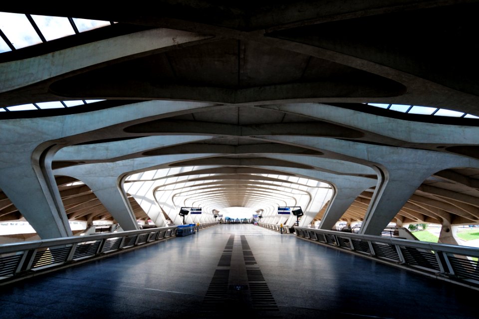 Architectural Design Bridge