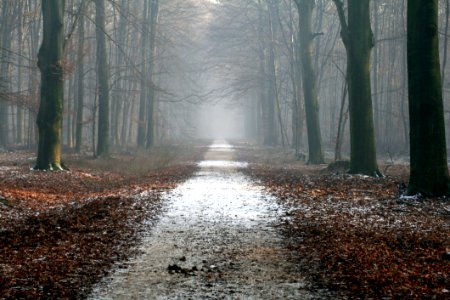 Autumn Calm Creepy