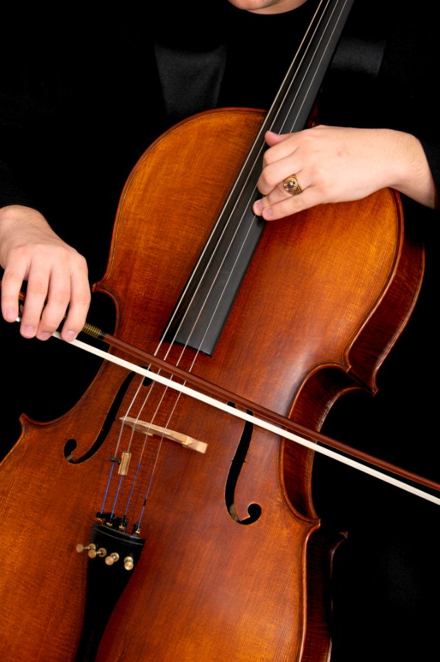 Bowed String Instrument photo