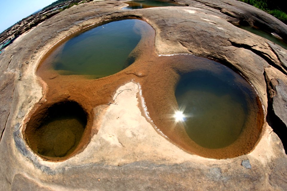 Ball-shaped Close -up