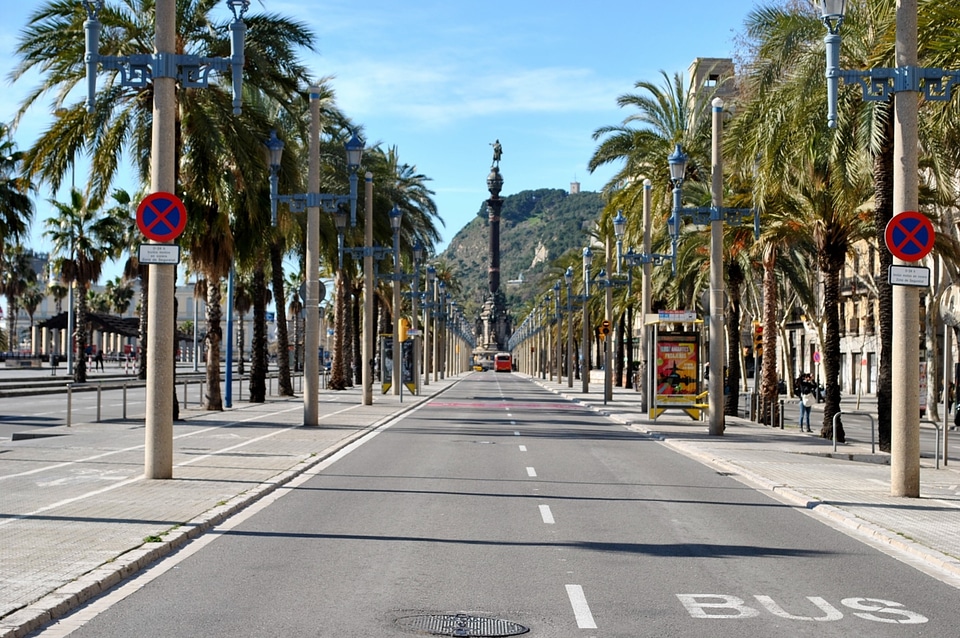 Palm trees away spain
