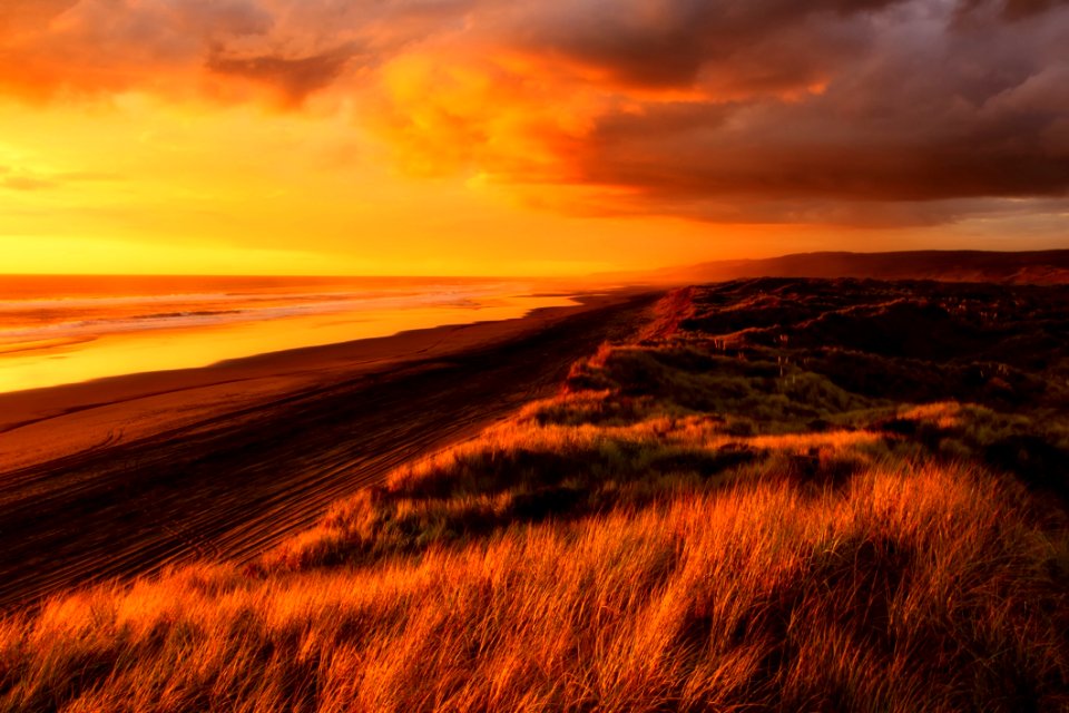 Backlit Beach Beautiful