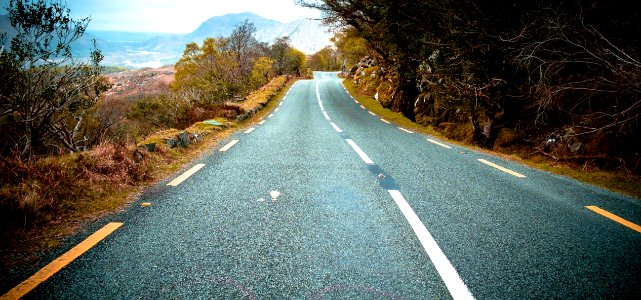 Asphalt Curve Drive