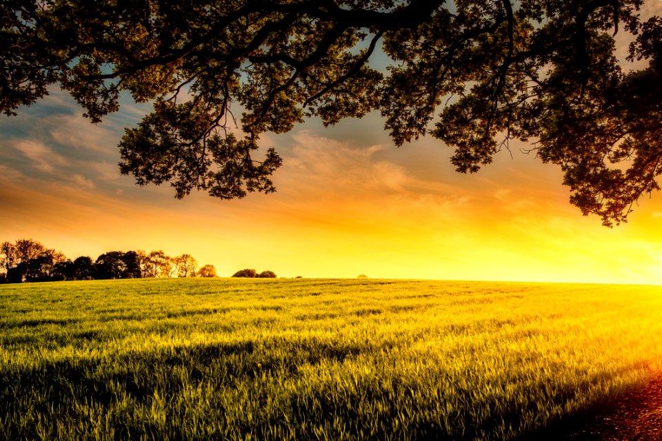 Agriculture Clouds Cropland