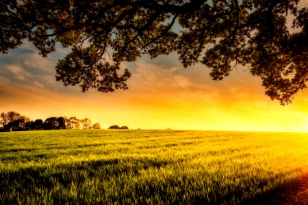 Agriculture Clouds Cropland