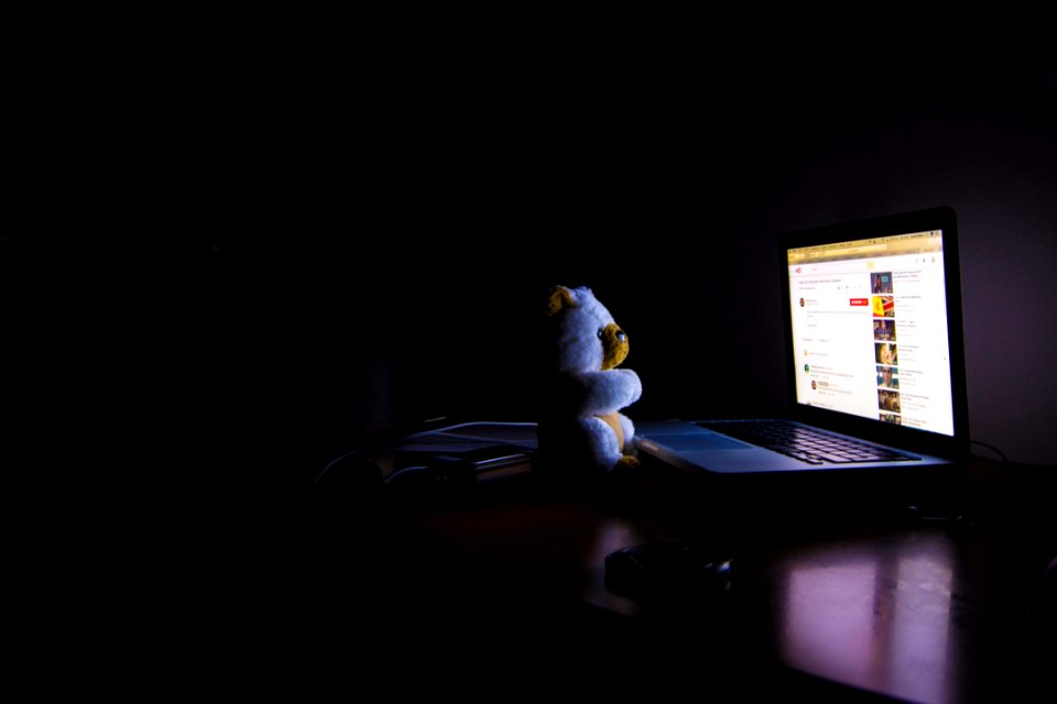 Bear Business Computer