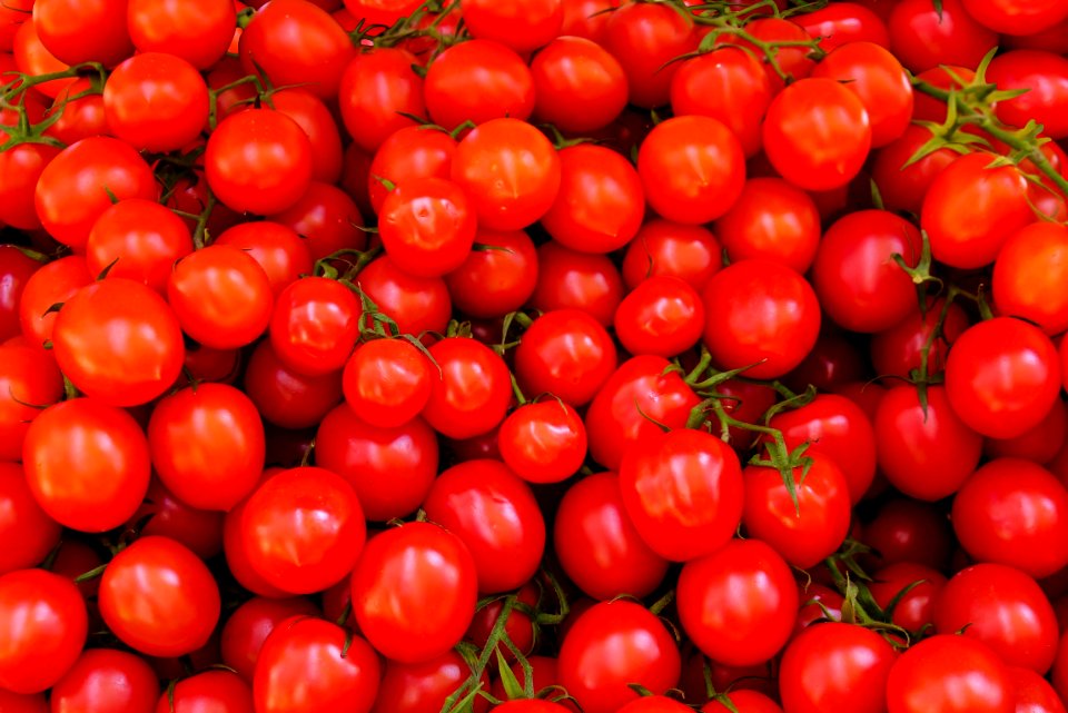 Abundance Agriculture Fresh