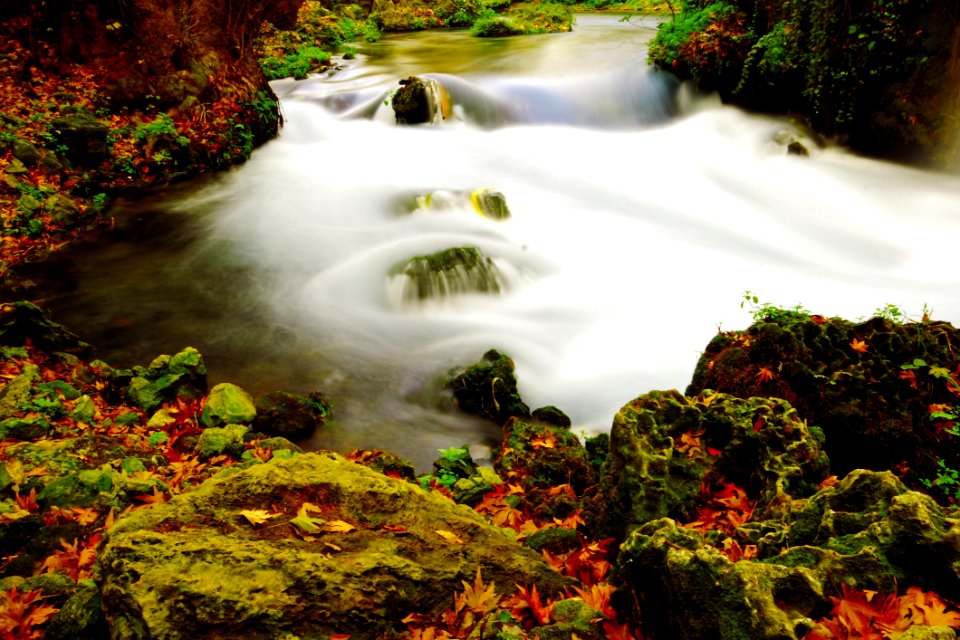 Autumn Leaves Background