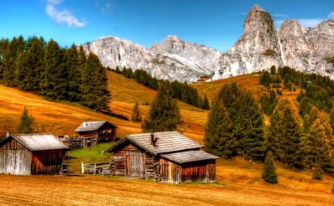 Cabins Conifers Countryside photo