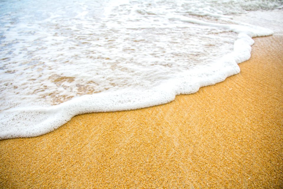 Beach Coast Daylight