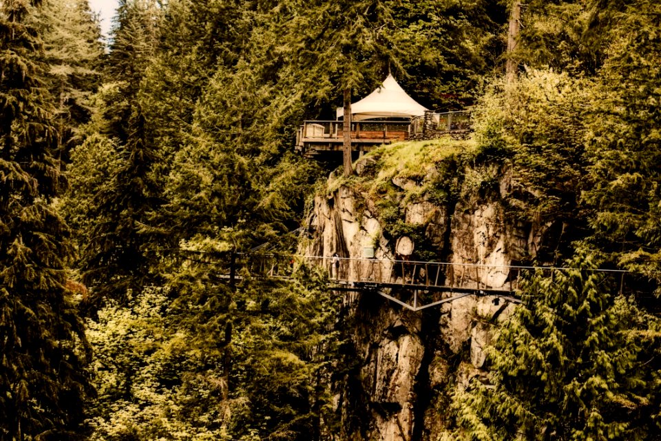 Architecture Bridge Cliff