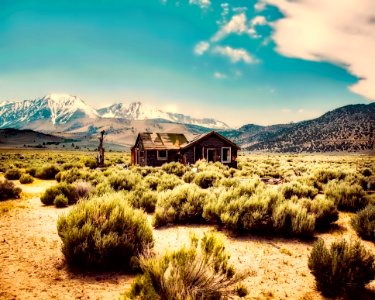 Bungalow Bush Cabin