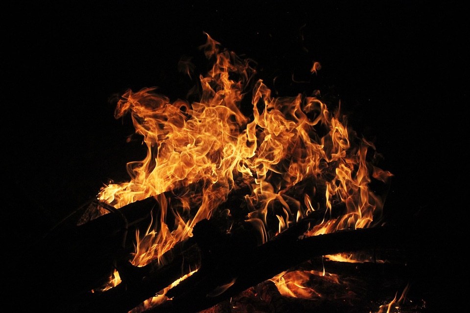 The bonfire night wood