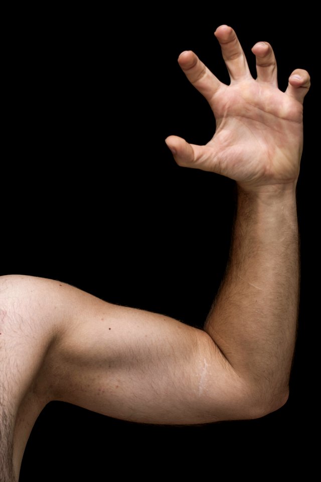 Arm Biceps Fingers