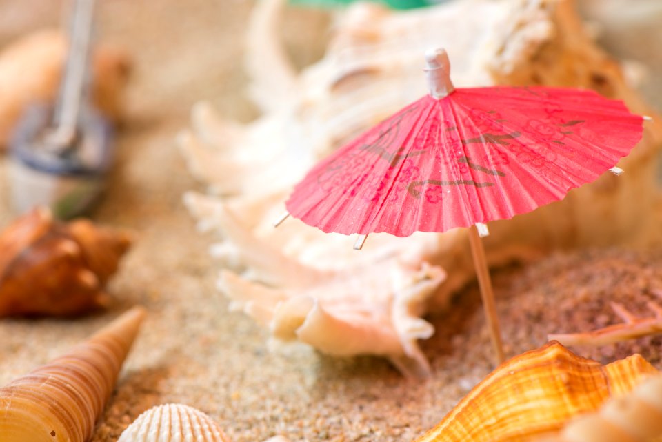 Conch Decoration Sand