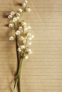 Background Bloom Blooming
