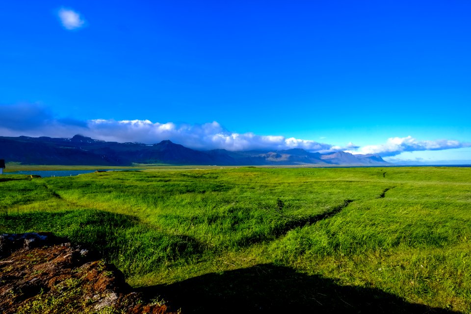 Agriculture Blue Sky
