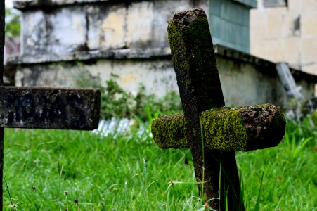 Ancient Burial Cemetery photo