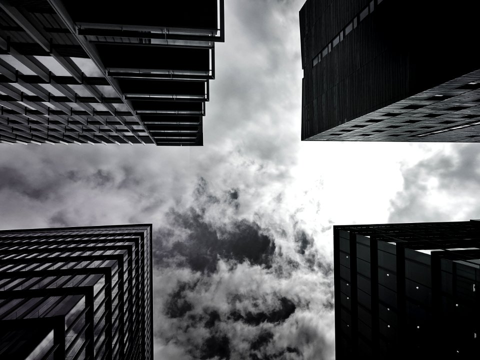 Architectural Design Black-and-white