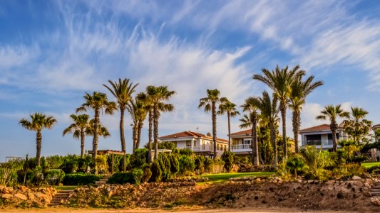 Clouds Coconut Trees photo