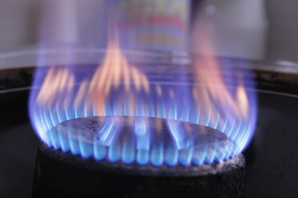 Cooking hotplate burner