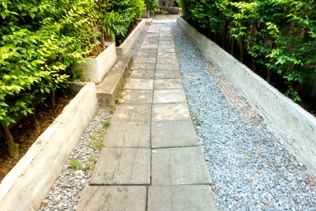 Branch Environment Garden