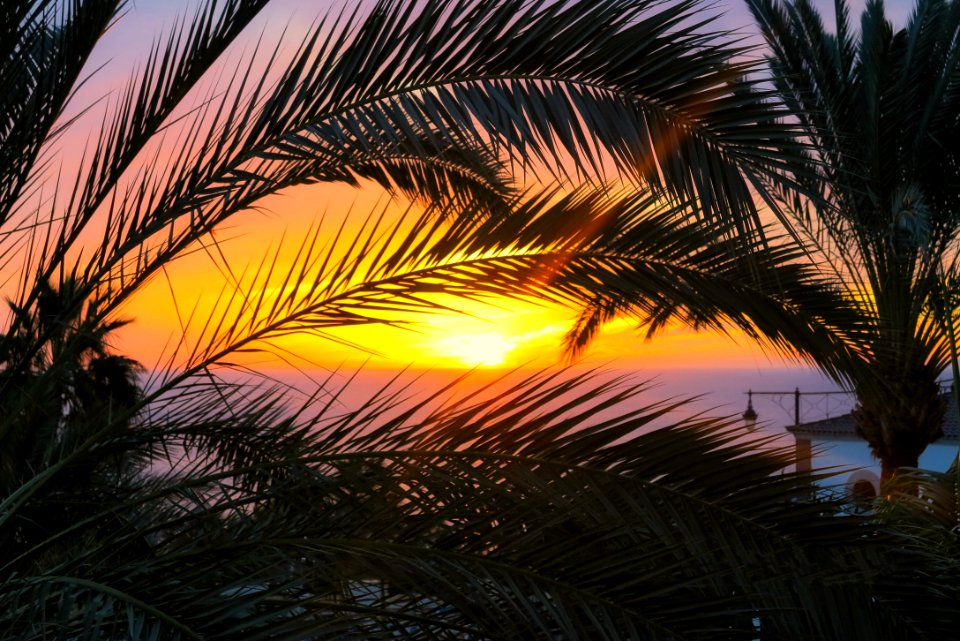 Beach Clouds Coconut