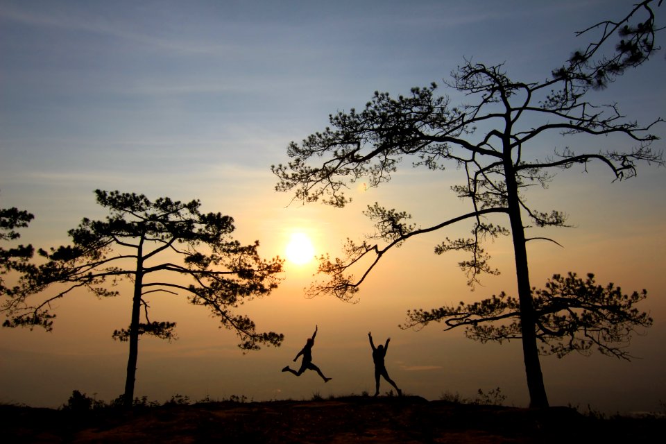 Branches Country Countryside