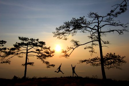 Branches Country Countryside