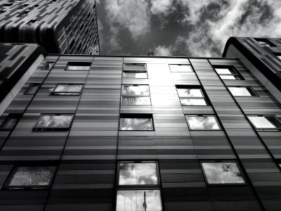 Architectural Design Black-and-white
