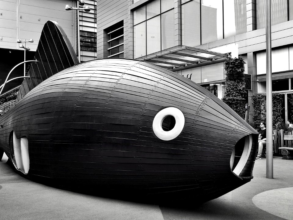 Architecture Black And