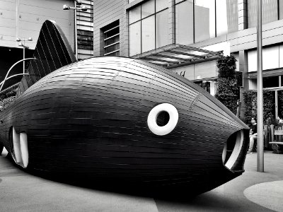 Architecture Black And